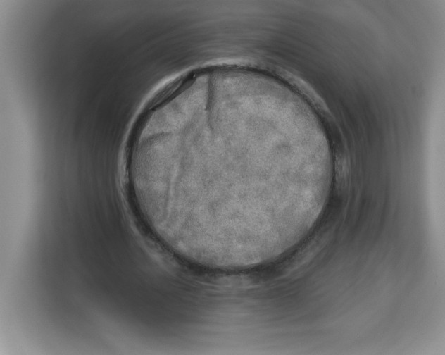 X0000113920628200910221354