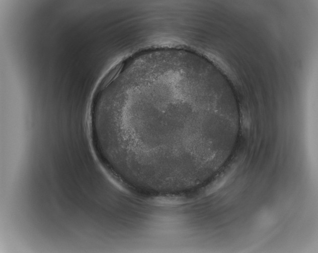 X0000113920630200910221354