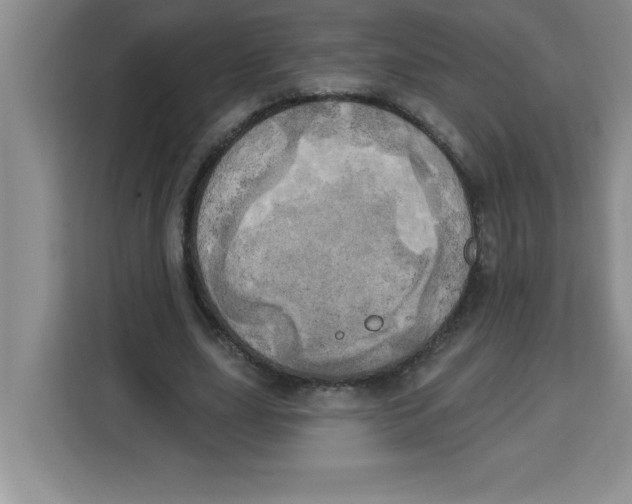 X0000113920631200910221354
