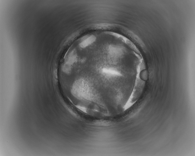 X0000113920633200910221354