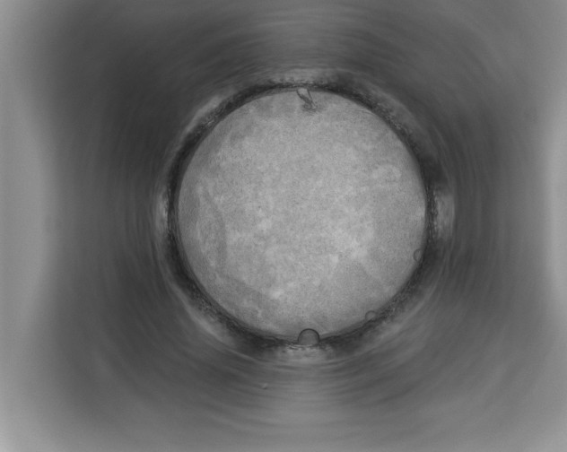 X0000113920636200910221354