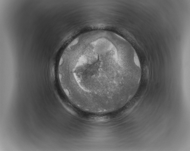 X0000113920638200910221354