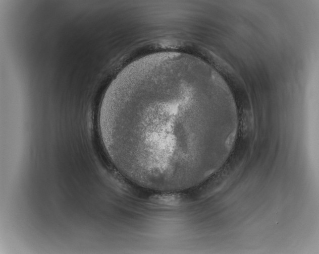 X0000113920639200910221354