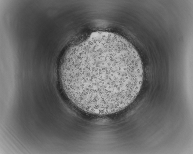 X0000113920642200910221354