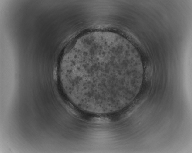 X0000113920644200910221354