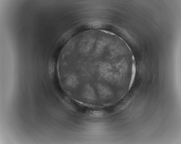 X0000113920645200910221354