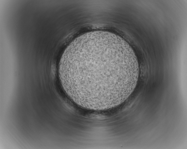 X0000113920648200910221354