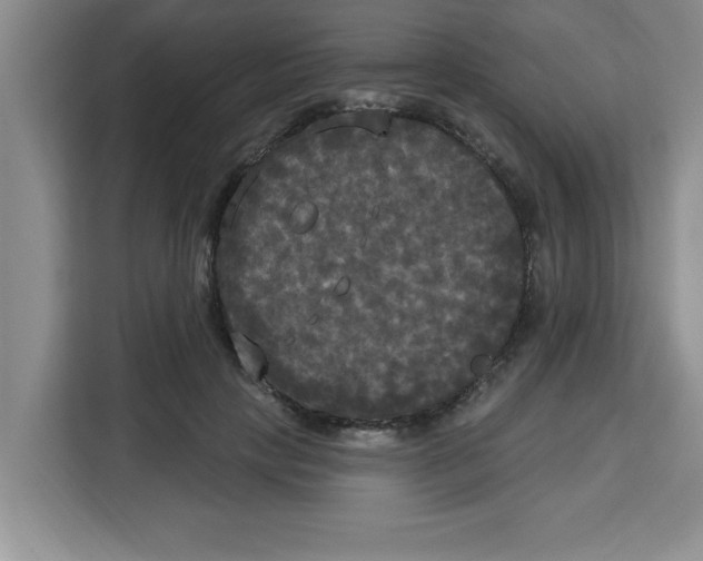 X0000113920649200910221354