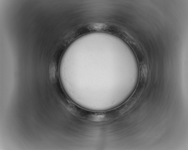 X0000113920651200910221354