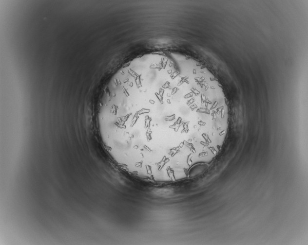 X0000113920653200910221354