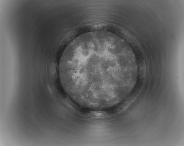 X0000113920654200910221354