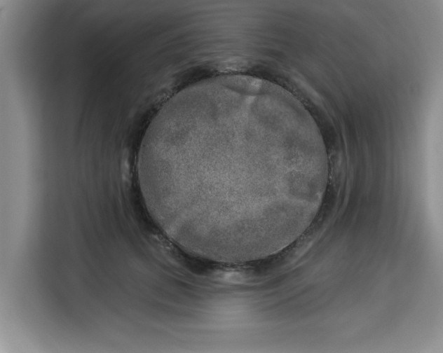 X0000113920655200910221354