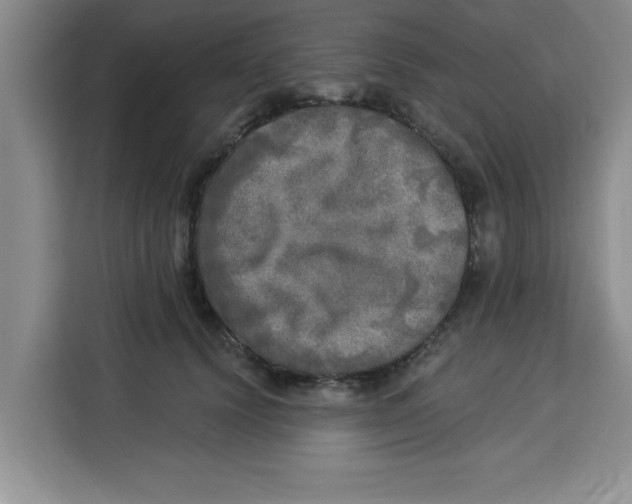X0000113920656200910221354
