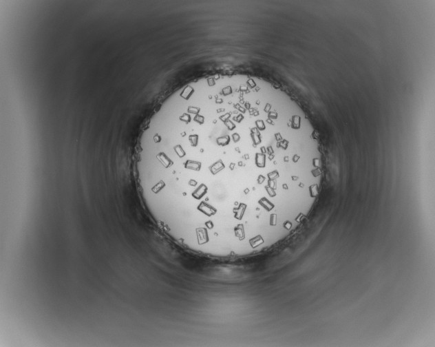 X0000113920657200910221354