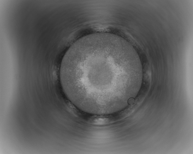 X0000113920658200910221354