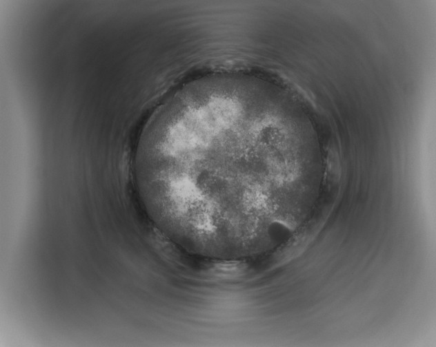 X0000113920659200910221354