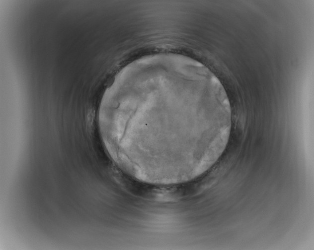 X0000113920660200910221354
