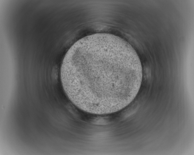X0000113920664200910221354