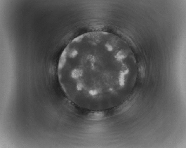 X0000113920665200910221354