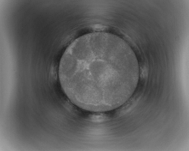 X0000113920666200910221354