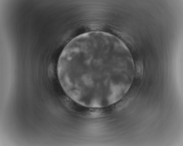 X0000113920667200910221354