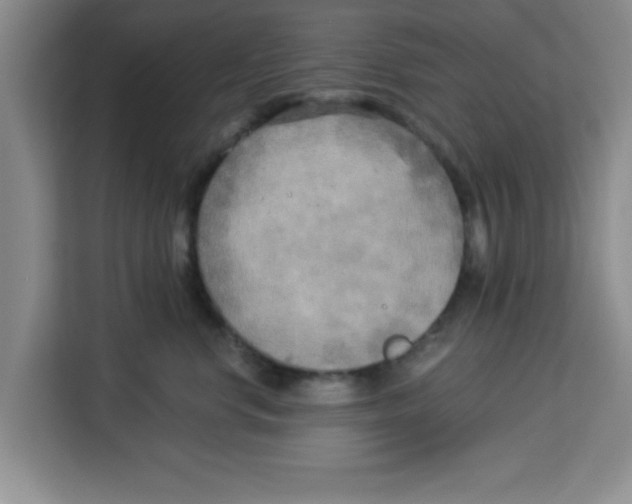 X0000113920668200910221354
