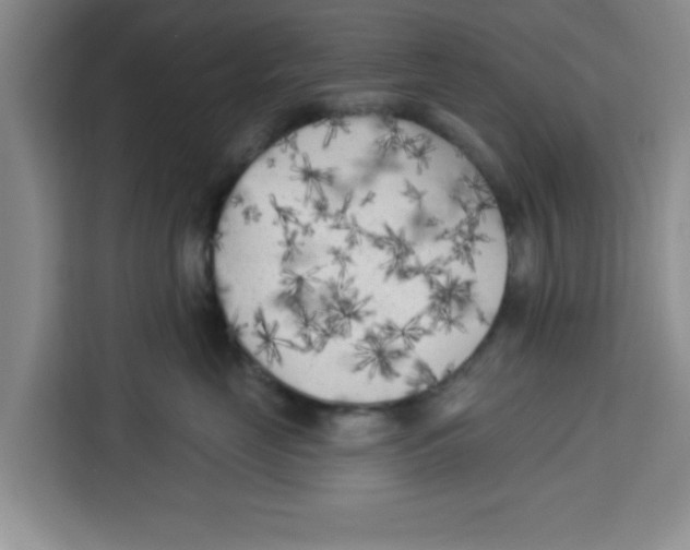 X0000113920669200910221354