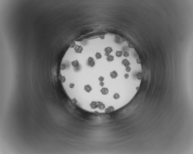 X0000113920670200910221355