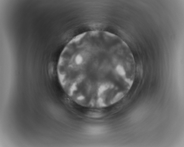 X0000113920671200910221355