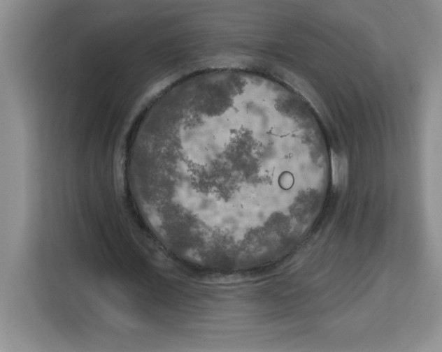 X0000113920675200910221354