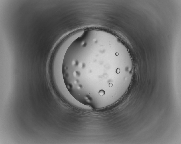 X0000113920676200910221354