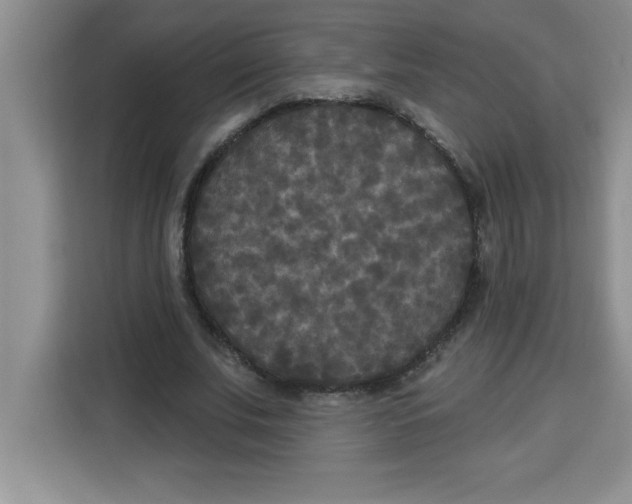 X0000113920679200910221354