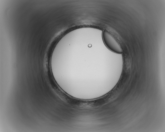 X0000113920680200910221354