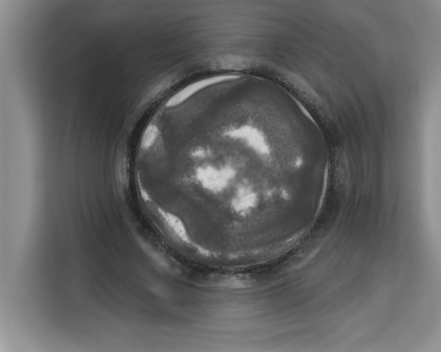 X0000113920683200910221354