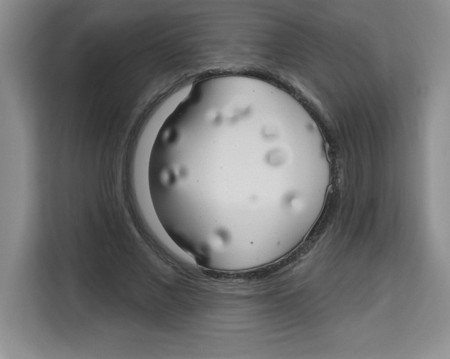X0000113920685200910221354