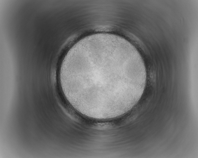 X0000113920686200910221354
