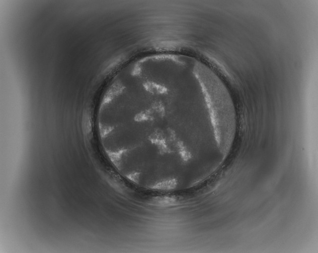 X0000113920687200910221354