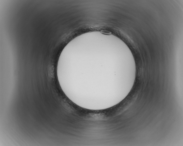 X0000113920689200910221354