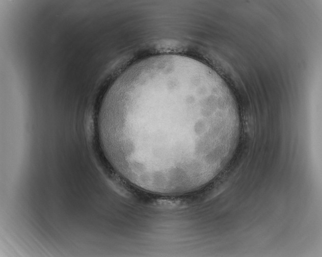 X0000113920690200910221354