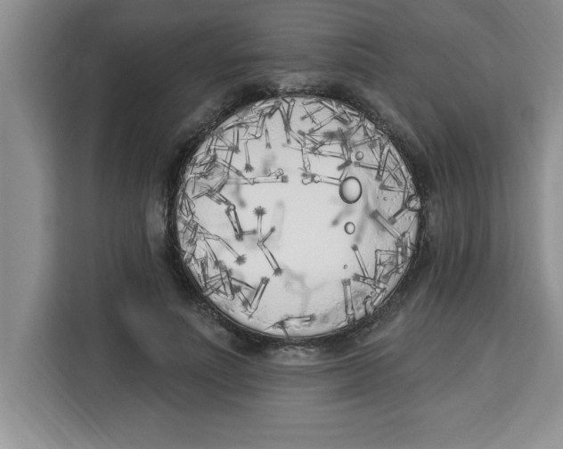 X0000113920691200910221354