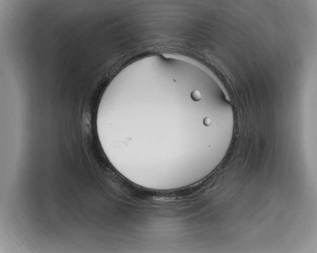 X0000113920693200910221354