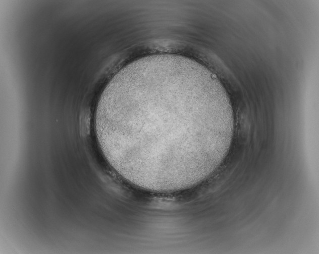 X0000113920694200910221354