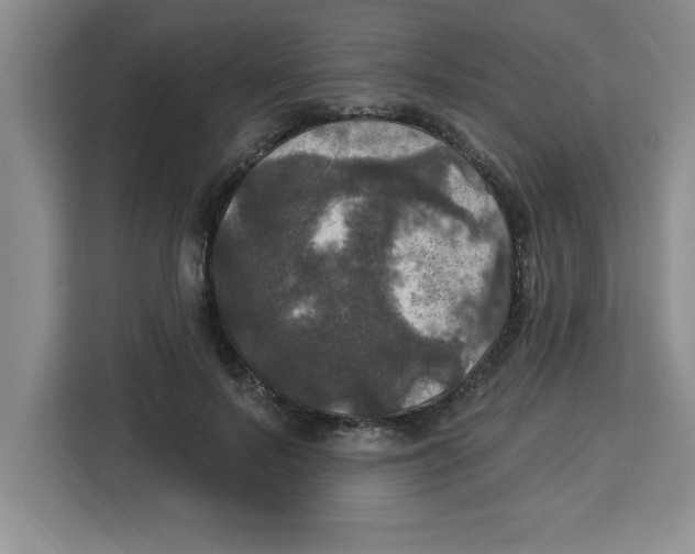 X0000113920695200910221354