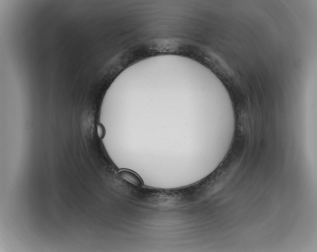 X0000113920697200910221354