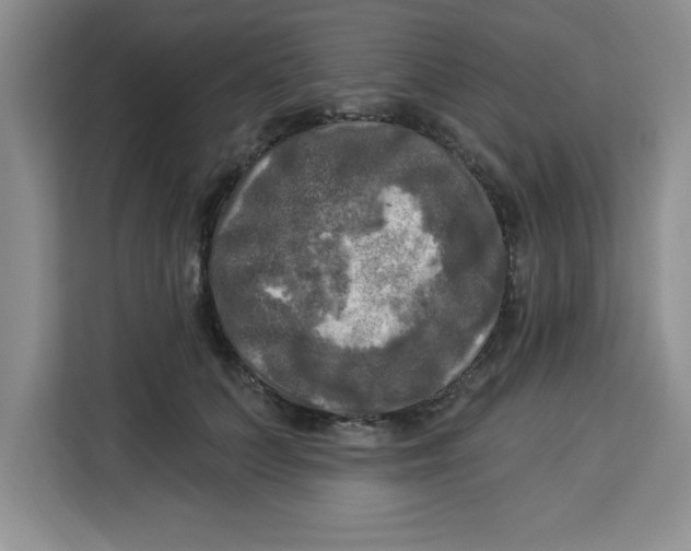 X0000113920703200910221354