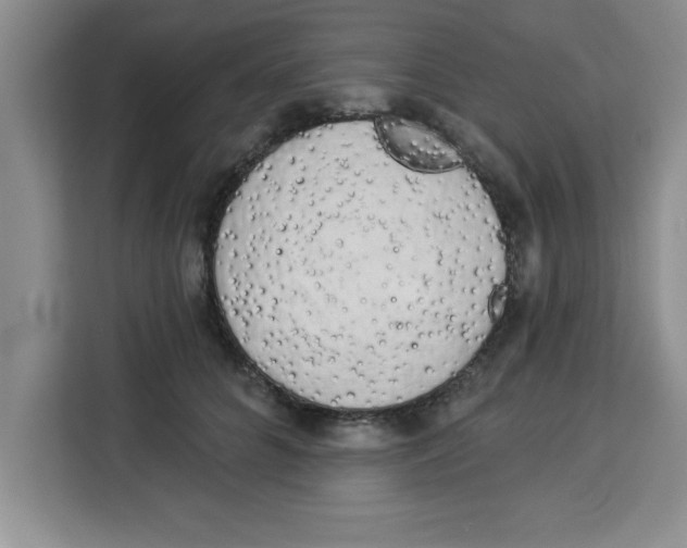X0000113920704200910221354