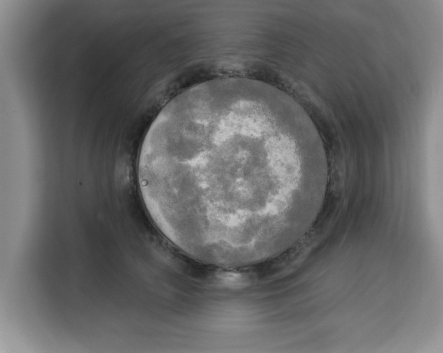 X0000113920706200910221353