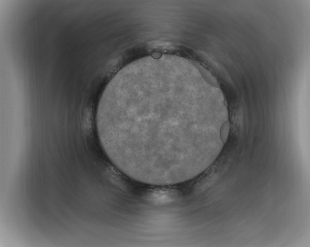 X0000113920708200910221353
