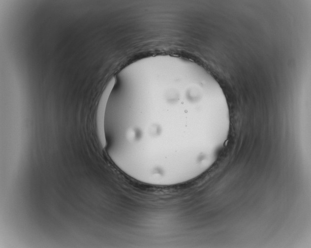 X0000113920709200910221353