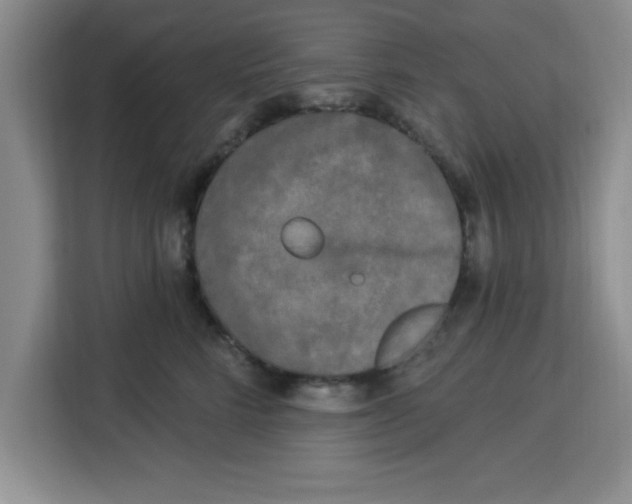 X0000113920712200910221353